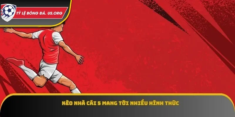 Kèo nhà cái 5 mang tới nhiều hình thức