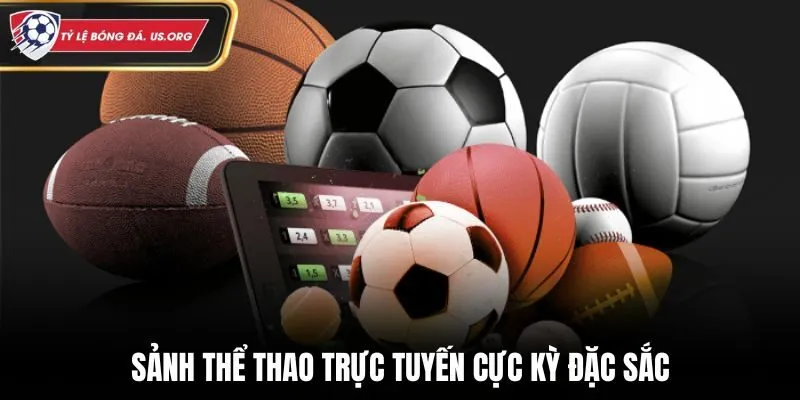 Sảnh thể thao của nhà cái chuyên nghiệp